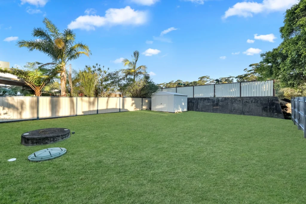 Back yard and shed