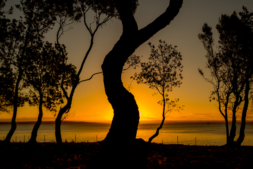 Dolphin Reserve, Currarong Beach - Jayne Ion