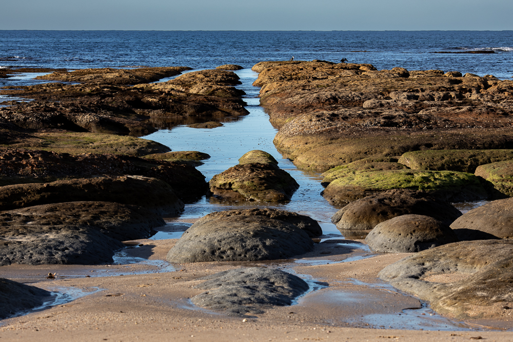 Dolphin Reserve, Currarong - Jayne Ion