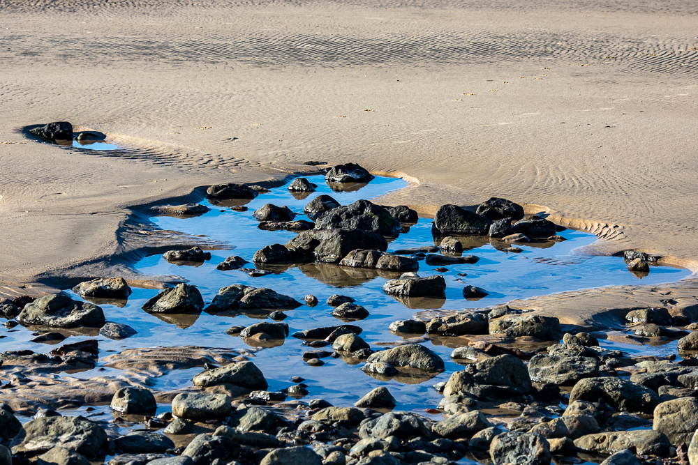 Dolphin Reserve, Currarong Beach - Jayne Ion